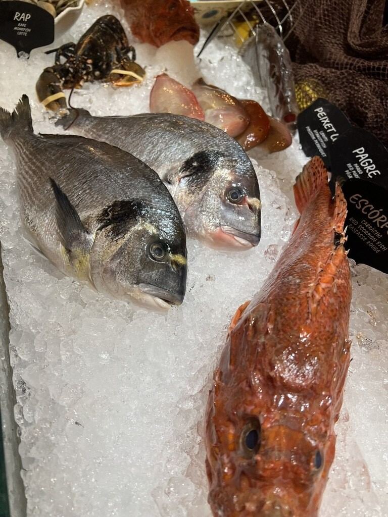 Doradas frescas sobre hielo en el mercado